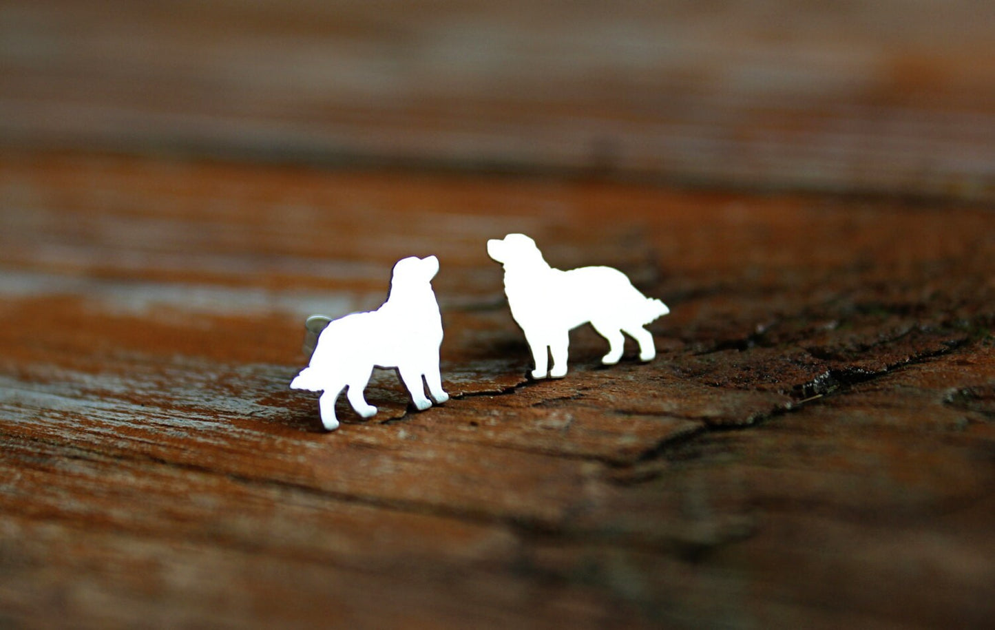 Bernese Mountain dog earrings, sterling silver studs