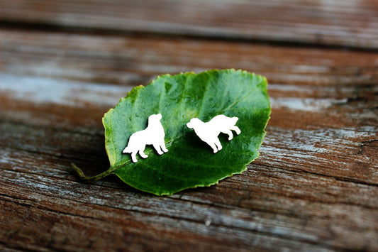 Bernese Mountain dog earrings, sterling silver studs