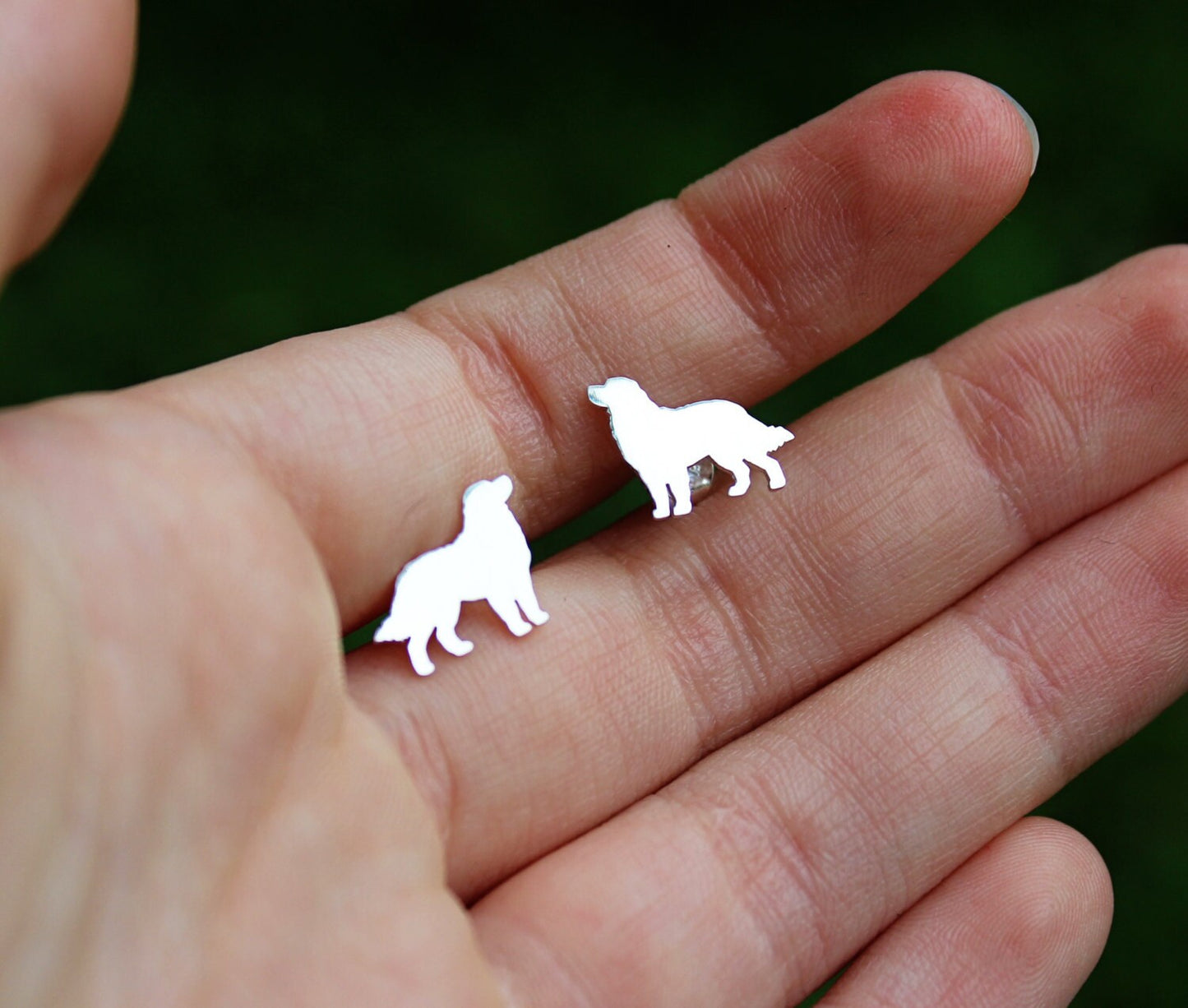 Bernese Mountain dog earrings, sterling silver studs