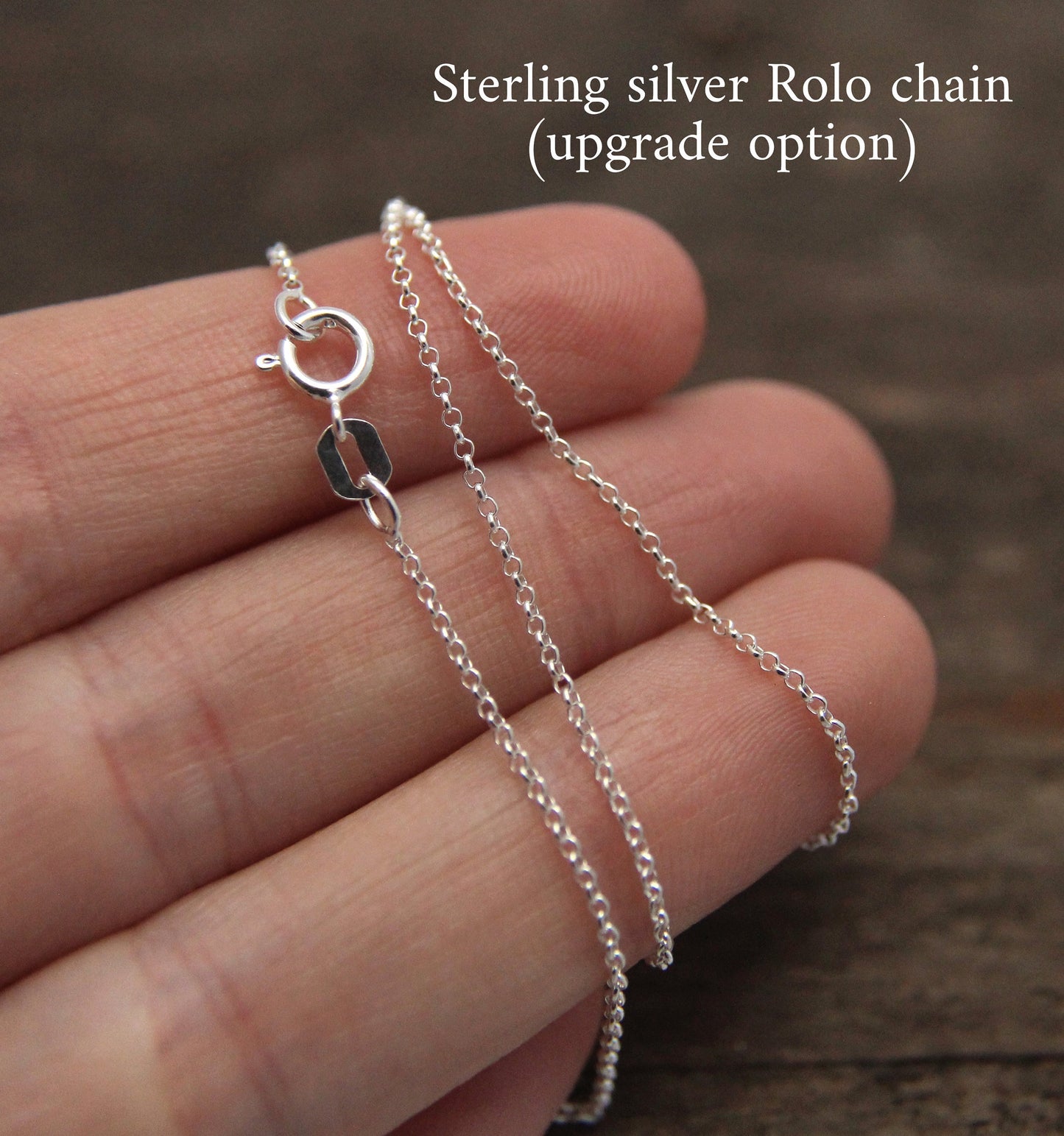 Tiny Tiger necklace, sterling silver pendant